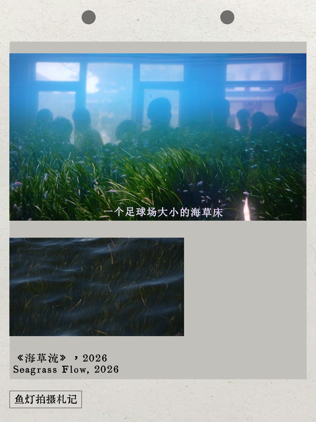 A seagrass bed layered with audience silhouettes in the Seagrass Flow field notebook