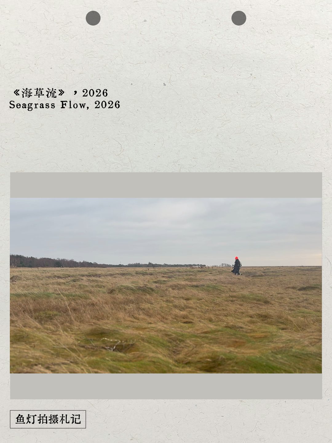 A figure crossing a windswept coastal field in a field-notebook page from Seagrass Flow